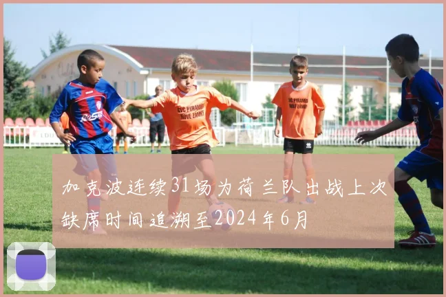 加克波连续31场为荷兰队出战上次缺席时间追溯至2024年6月