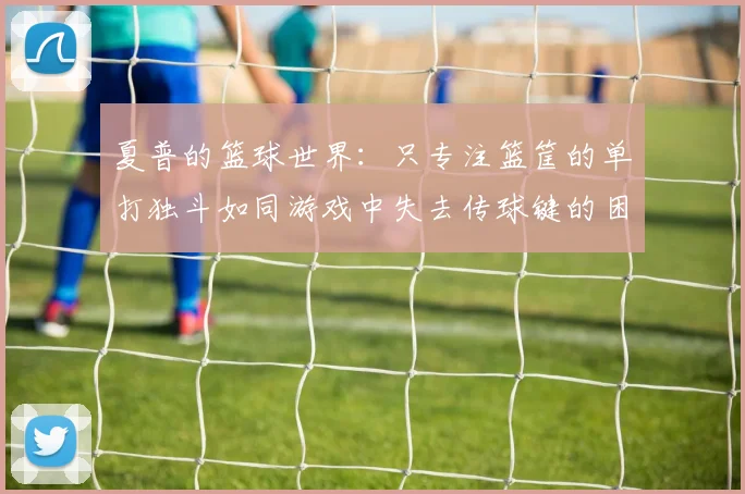 夏普的篮球世界：只专注篮筐的单打独斗如同游戏中失去传球键的困境